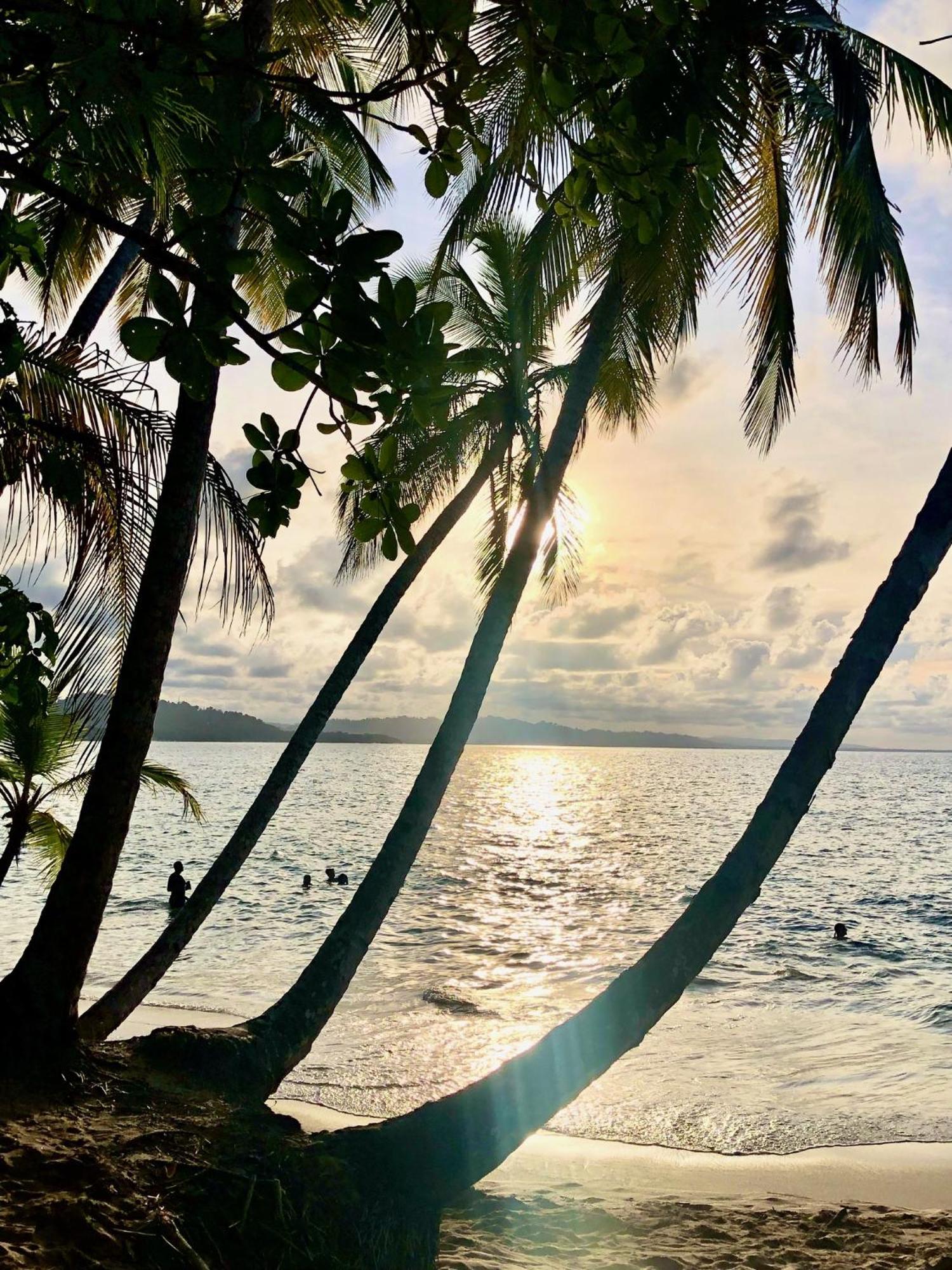 Cabinas Ole Caribe Hotell Puerto Viejo de Talamanca Eksteriør bilde