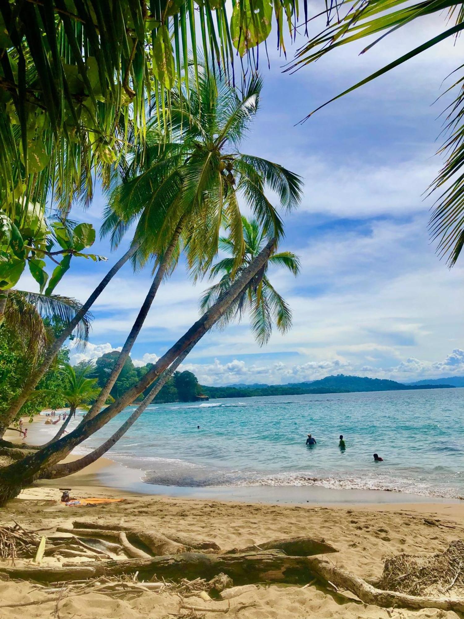 Cabinas Ole Caribe Hotell Puerto Viejo de Talamanca Eksteriør bilde