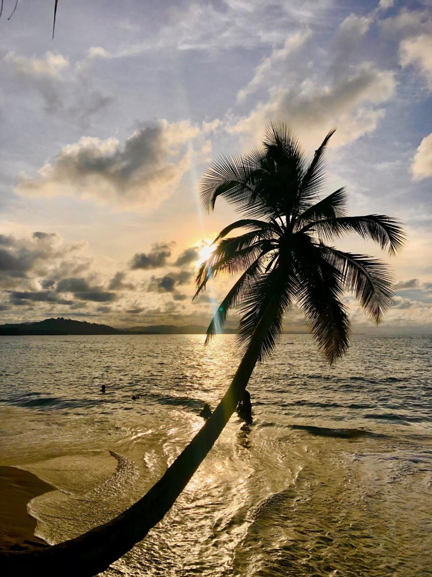 Cabinas Ole Caribe Hotell Puerto Viejo de Talamanca Eksteriør bilde